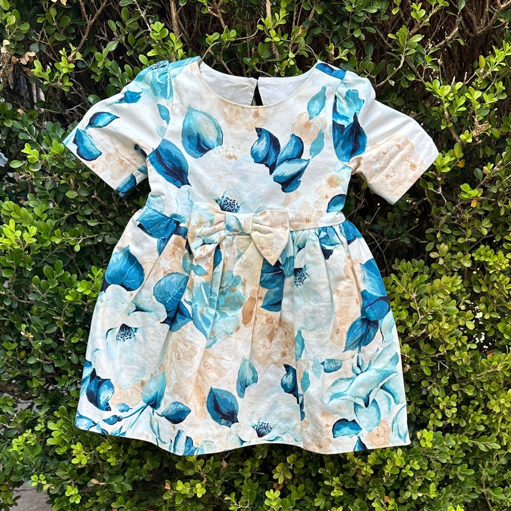 Janie and Jack Blue and Cream Floral Dress